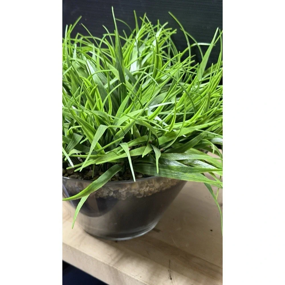 Artificial Grass‎ Plant in Glass Pot Faux Green Decor ~12